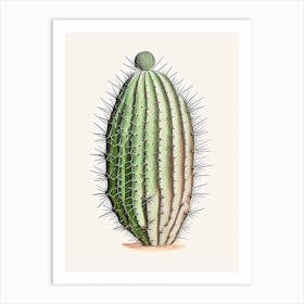 Turk S Head Cactus Marker Art 2 Art Print