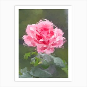 Painted Rose Art Print