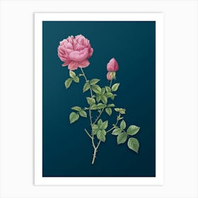 Vintage Pink Autumn China Rose Botanical Art on Teal Blue n.0075 Art Print