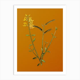 Vintage Spanish Broom Botanical on Sunset Orange n.0815 Art Print