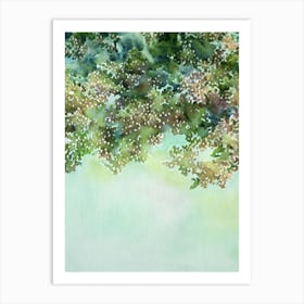 Acropora Formosa Storybook Watercolour Art Print