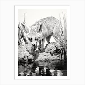 Fennec Fox Finds Water Pencil Drawing 1 Art Print