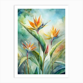 4 Birds Of Paradise Flowers Standing Tall Art Print