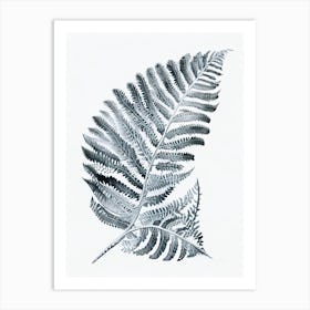 Silver Lace Fern Watercolour Art Print