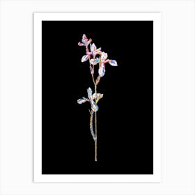 Stained Glass Siberian Iris Mosaic Botanical Illustration on Black n.0219 Art Print