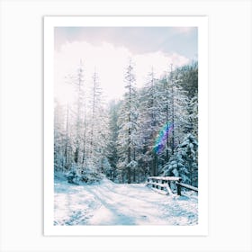 Sunlit Winter Landscape Art Print