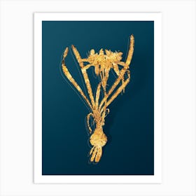 Vintage Sea Daffodil Botanical in Gold on Teal Blue n.0317 Art Print