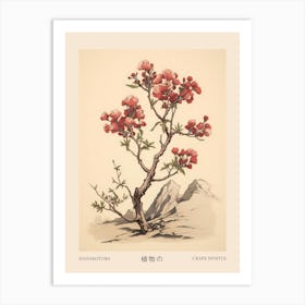 Hanakotoba Crape Myrtle 2 Vintage Japanese Botanical Poster Art Print