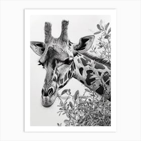 Giraffe In The Leaves Pencil Drawing 1 Art Print