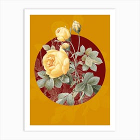Vintage Botanical Yellow Rose Rosa Sulfurea on Circle Red on Yellow n.0323 Art Print