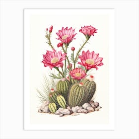 Vintage Cactus Illustration Hedgehog Cactus Art Print