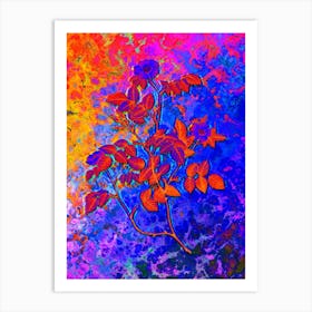 Sweetbriar Rose Botanical in Acid Neon Pink Green and Blue n.0059 Art Print