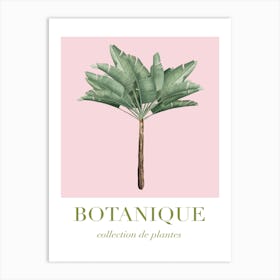 Botanique Pink And Green Art Print