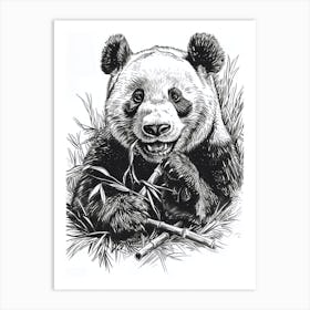 Giant Panda Eating Bamboo Ink Illustration 4 Art Print