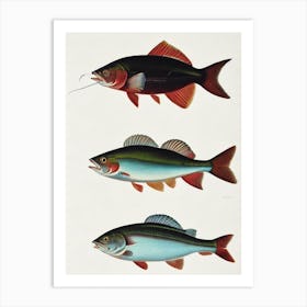 Hake Vintage Poster Art Print