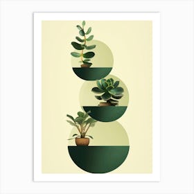 Succulents 2 Art Print