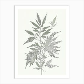 Hemp Herb William Morris Inspired Line Drawing 2 Art Print