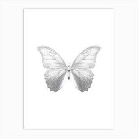 Butterfly 3 Art Print