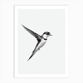 Barn Swallow B&W Pencil Drawing 1 Bird Art Print