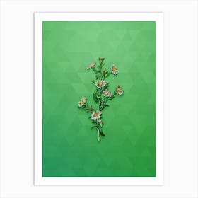 Vintage Glaucous Aster Flower Botanical Art on Classic Green n.0083 Art Print