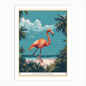 Greater Flamingo Ria Celestun Biosphere Reserve Tropical Illustration 3 Poster Art Print