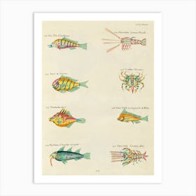 Colourful And Surreal Illustrations Of Fishes, Lobsters And Crab Found In Moluccas (Indonesia) And The East Indies, Louis Renard(51) Art Print
