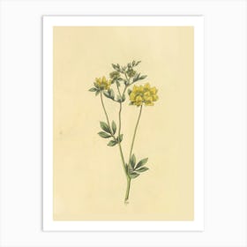 Yellow Flowers 4 Art Print