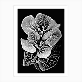 Purslane Leaf Linocut 1 Art Print