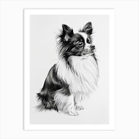 Papillon Dog Line Sketch 2 Art Print