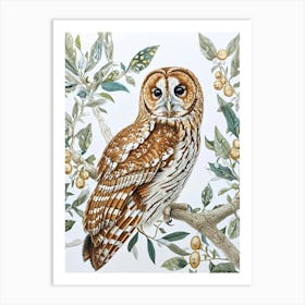 Tawny Owl Marker Drawing 4 Art Print