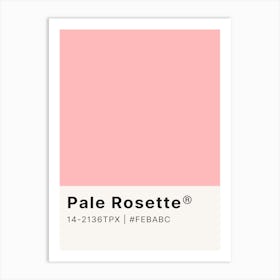 Pale Rosette Art Print