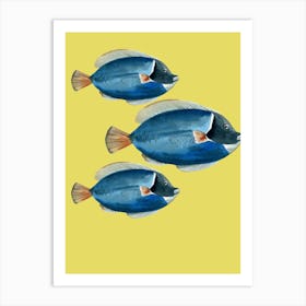 Blue Tang sea Art Print