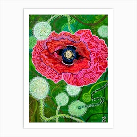 Red Poppy with Seed Pods Art Print