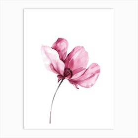 Watercolor Pink Poppy Flower Art Print