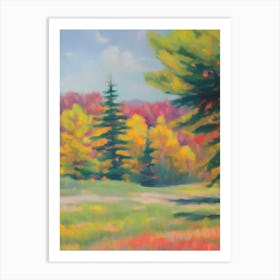 Pine Tree Watercolour 2 Art Print