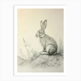Thrianta Rabbit Drawing 4 Art Print