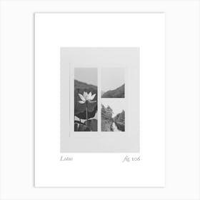 Lotus Botanical Collage 4 Art Print