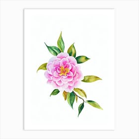Camellia Watercolour Flower Art Print