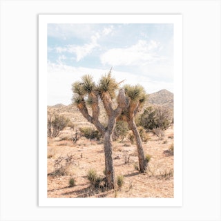 Desert Twin Joshua Tree Art Print