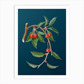 Vintage Cherry Botanical Art on Teal Blue n.0513 Art Print