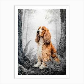 Spaniel In The Woods Poster