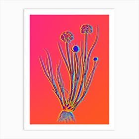 Neon Allium Globosum Botanical in Hot Pink and Electric Blue n.0358 Art Print