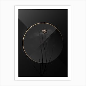 Shadowy Vintage Allium Foliosum Botanical in Black and Gold 1 Art Print