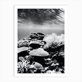 Black And White Coral Reef Art Print