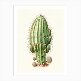 Turk S Head Cactus Marker Art 3 Art Print