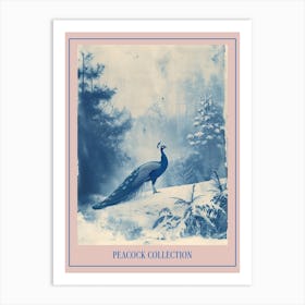 Cyanotype Inspired Peacock Snow Scene 1 Poster Art Print