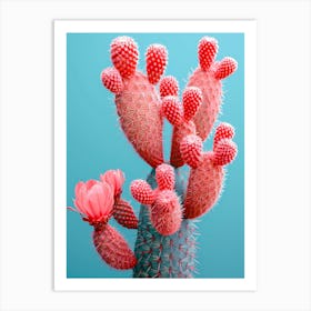 pink Cactus Flower Art Print