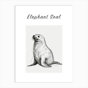 B&W Elephant Seal Poster Art Print