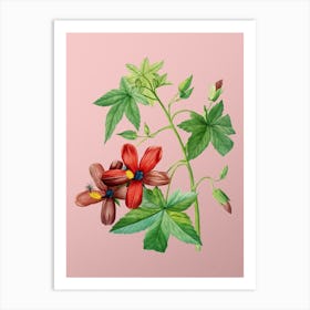 Vintage Lavatera Phoenicea Botanical on Soft Pink n.0081 Art Print