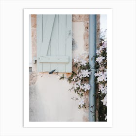 Ivy pink flowers old wall countryside | France Art Print